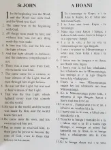 Gospel of John English and Maori - Diglot page 1